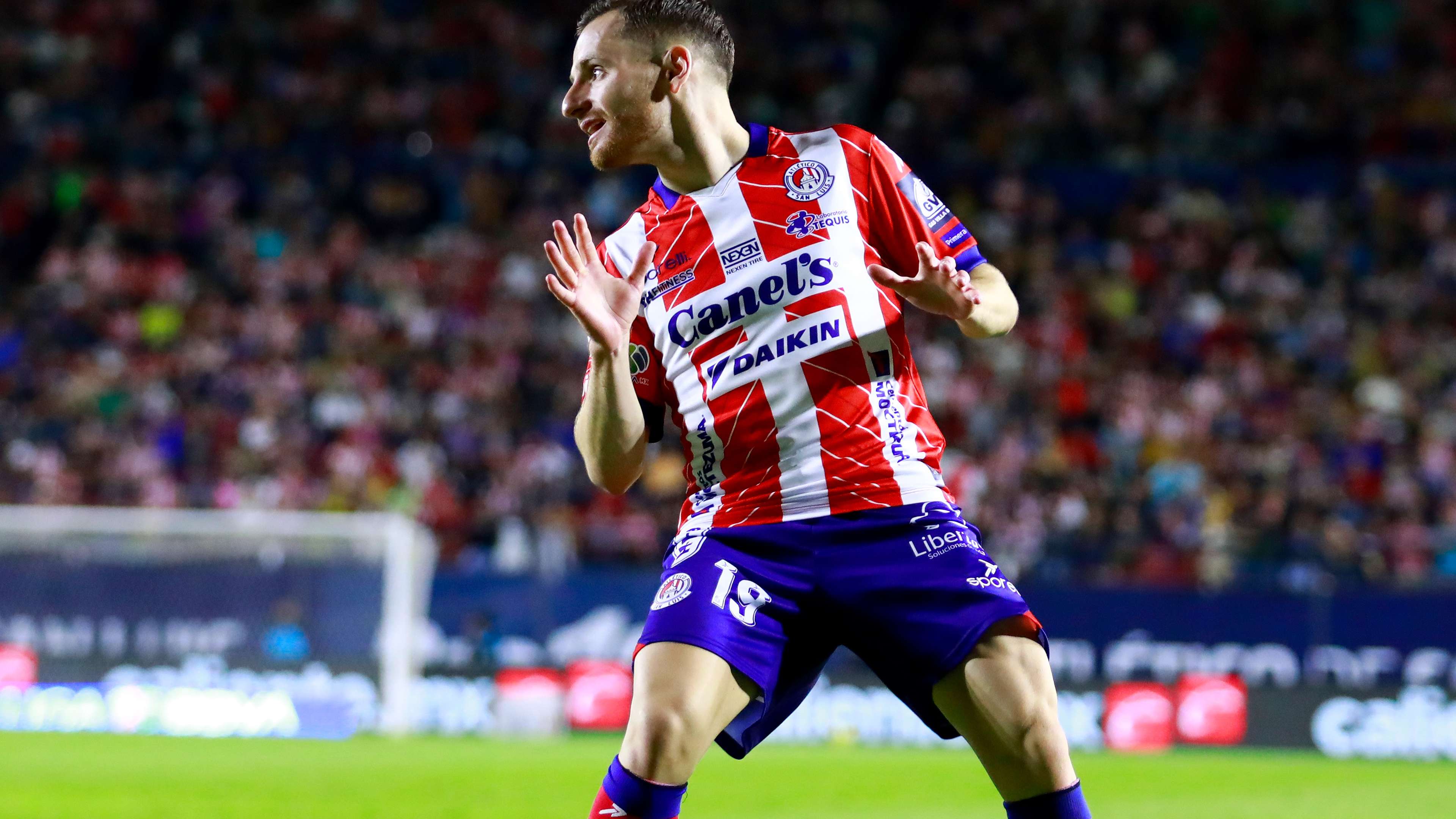 展现出了奋 展现出了奋