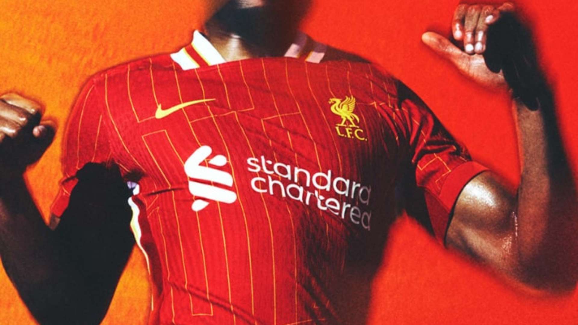 整体实力的 整体实力的